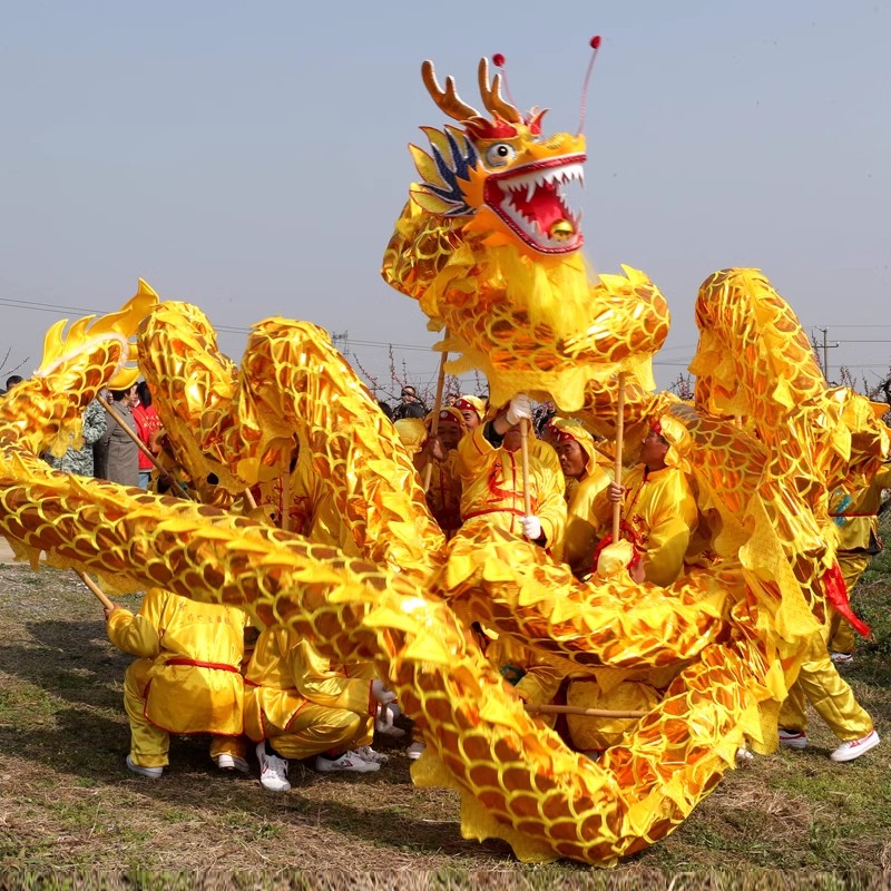 大号舞龙表演道具成人耍龙