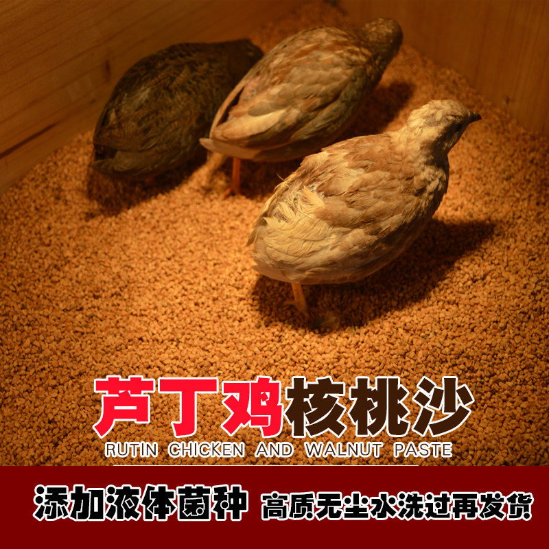 芦丁鸡核桃沙垫料发酵床宠物卢丁鸡鹌鹑专用饲养箱无尘核桃砂除臭