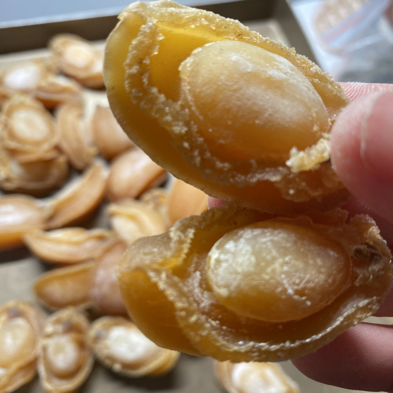 大连鲍鱼干货特级大鲜活淡晒足干鲍鱼年货炖汤煲粥