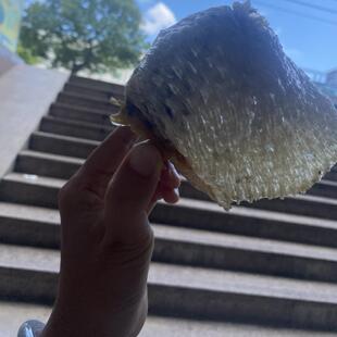 天然大号刺龟鱼皮已拔刺刺豚皮无刺鲍鱼煲汤