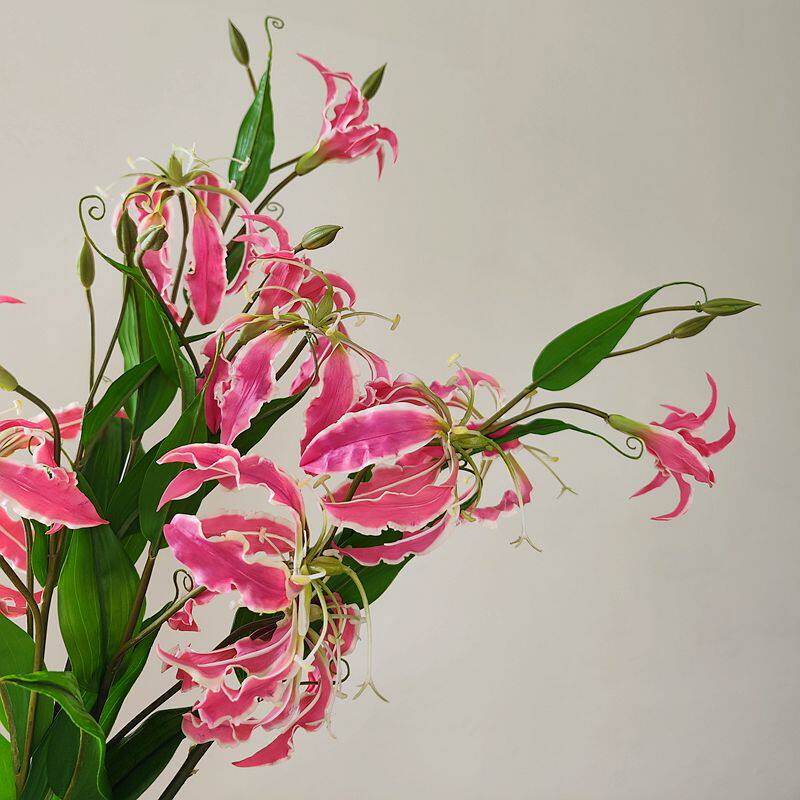 新款仿真火焰百合嘉兰百合仿真花桌面摆放装饰假花石蒜花山丹花