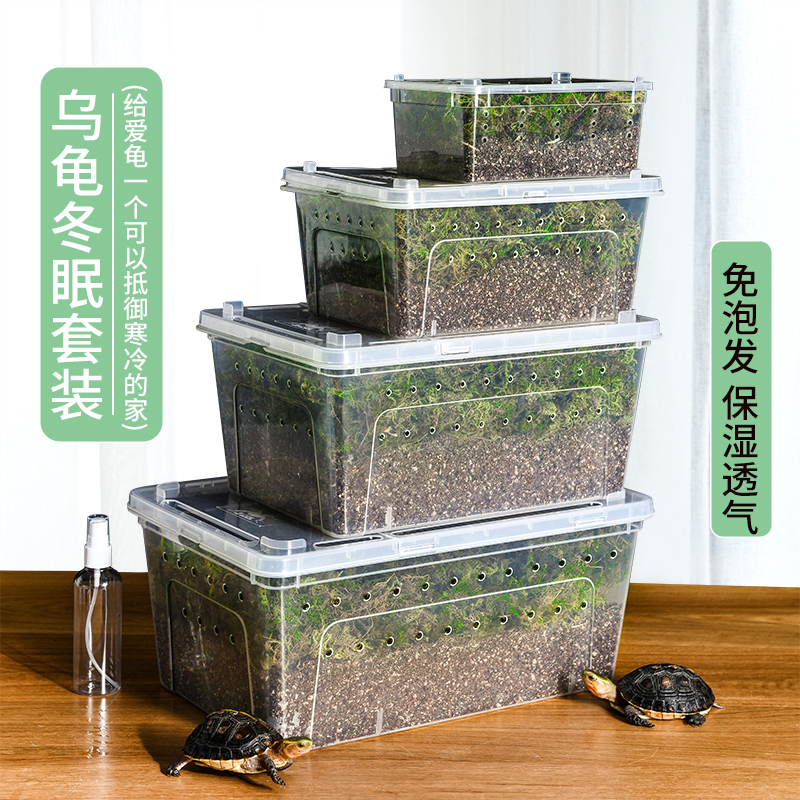 爬宠饲养箱乌龟冬眠