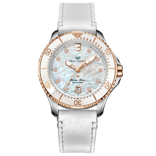 海鸥表手表女款贝母盘潜水机械表海洋系列女士手表1211