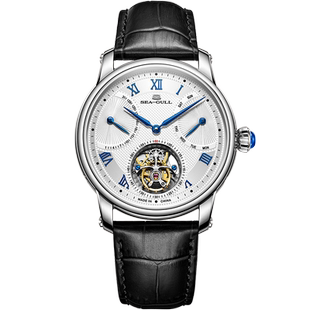 海鸥表手表男款 商务休闲多功能逆跳双历自动陀飞轮机械表8835