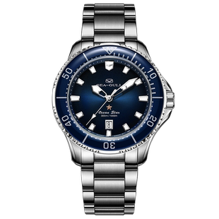 海鸥表手表男士机械表深海潜水海洋系列手表小表盘PRO1213