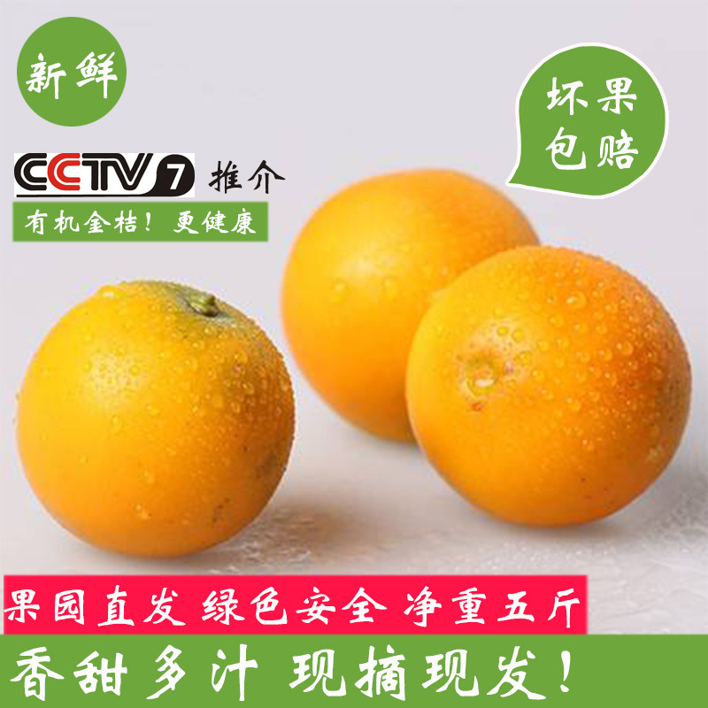 新鲜水果广西融安滑皮金桔