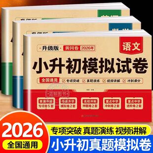 2026小升初真题卷语文数学英语必刷题六年级小升初总复习人教版小升初冲刺新卷试卷测试卷全套名校模拟期末专项训练复习资料卷子RJ