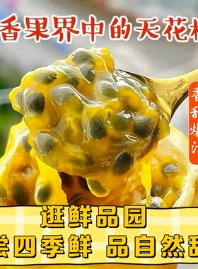 福建漳州钦蜜9号黄金百香果现摘