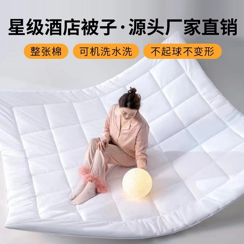 五星级酒店专用加厚纯棉被芯宾馆民宿养老院可水洗被子春秋被冬被,床上用品,化纤被,淘宝优惠券,粉丝福利购,淘宝优惠卷