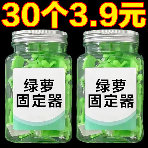绿萝爬上神器爬墙上绿箩固定器