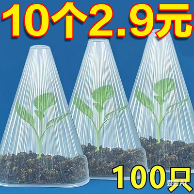 蔬菜植物罩瓜苗幼苗育苗