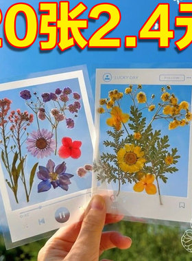 植物手工自制DIY书签透明压花新款相框创意秋天落叶标本植物保留