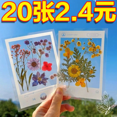 植物手工自制DIY书签透明