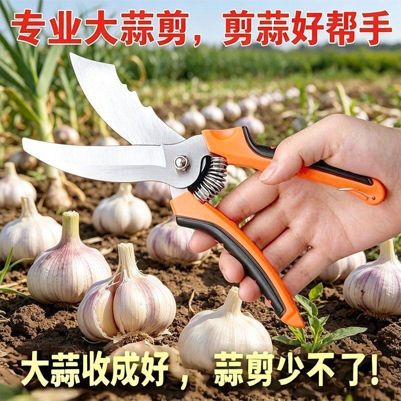 弯头大蒜剪圆葱专用剪刀
