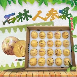 [盛果邻] 人参果礼盒装送人云南石林人生果七彩人参果精选礼盒