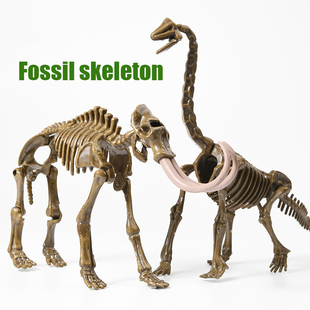 考古恐龙化石玩具儿童益智手工拼装霸王龙骨骼仿真骨头骨架模型