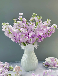 云南鲜花基地直供紫罗兰鲜花花束鲜切花客厅室内花束鲜花