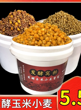 5斤桶装发酵玉米大物窝料小麦老坛五谷杂粮野钓鲫鱼草鱼鲤鱼饵料