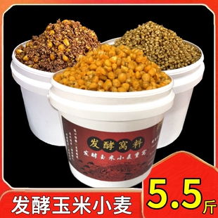 发酵玉米大物窝料小麦老坛五谷杂粮野钓鲫鱼草鱼鲤鱼饵料 5斤桶装