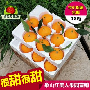 正宗象山红美人柑橘新鲜桔子水果爱媛28号浙江宁波特产礼盒装3
