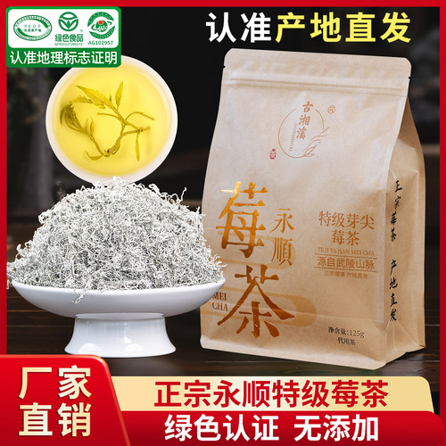 古湘溪养生茶芽头嫩芽尖回味甘甜