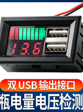 电池电量电压同步显示检测仪双USB输出接口3/7串锂电铅酸电车通用