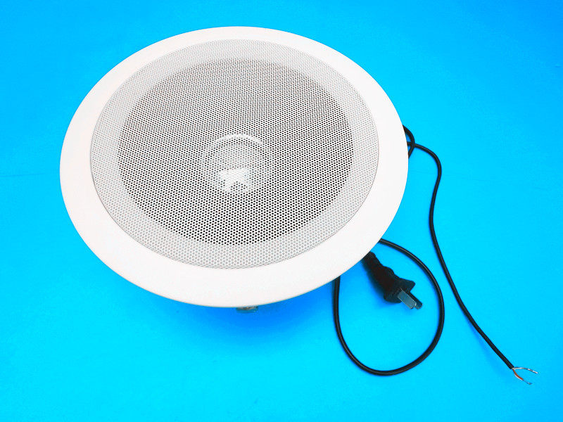 有源吸顶10-20W有源喇叭监控对讲音箱 220V带功放摄像头天花喇叭