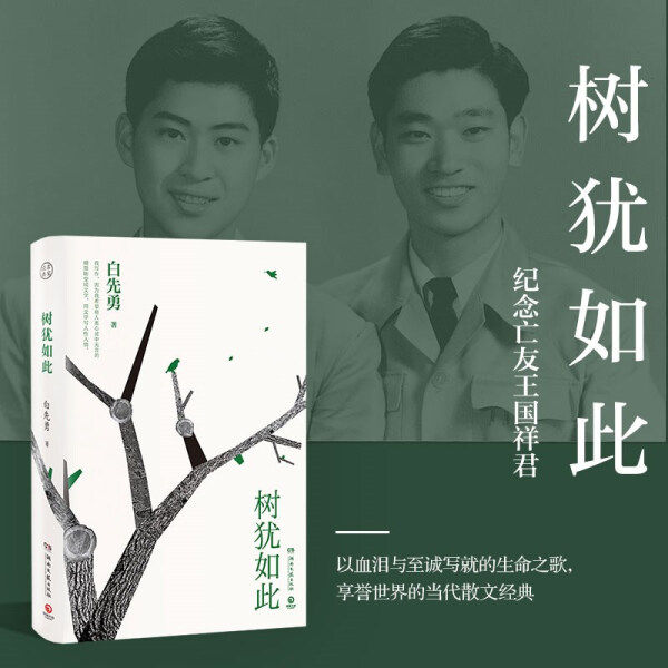 【正版包邮】树犹如此（精装）9787540488260白先勇怎么看?