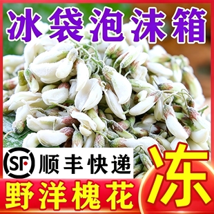 26年冷冻槐花洋槐花野菜生杨槐花洋槐花骨朵花苞刺槐花包包子饺子