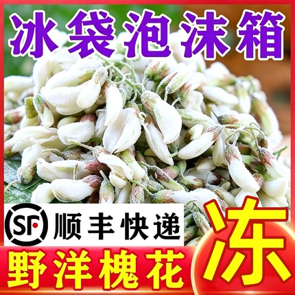 26年冷冻槐花洋槐花野菜生杨槐花洋槐花骨朵花苞刺槐花包包子饺子