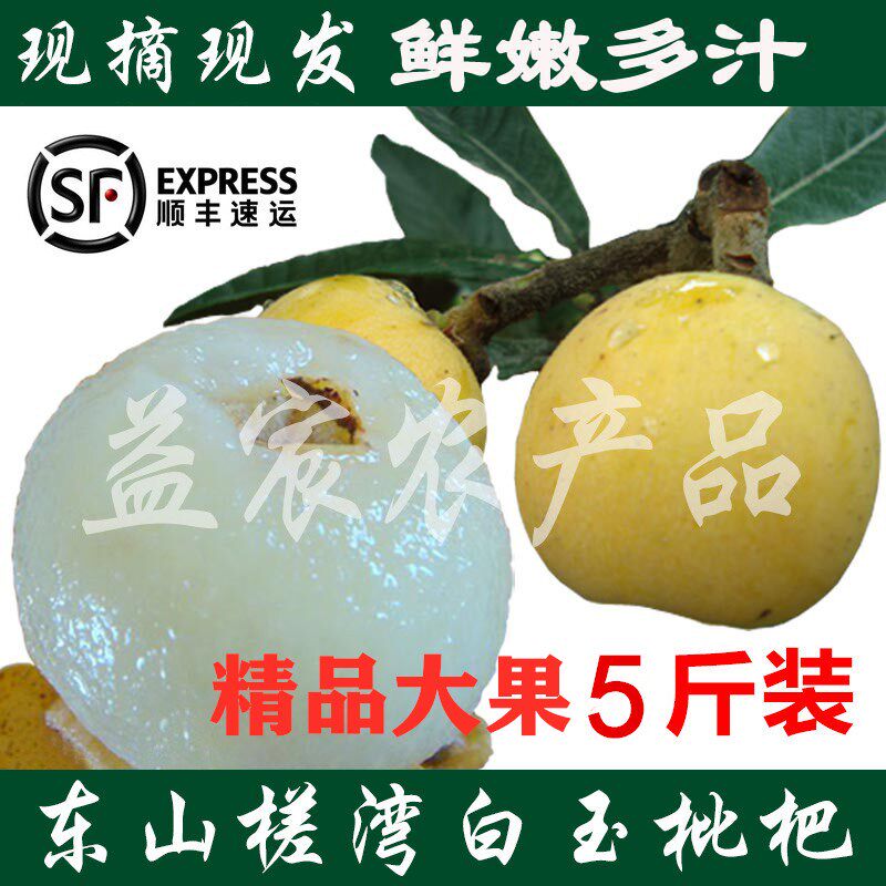 大果超甜正宗苏州东山白玉枇杷新鲜水果现摘现发孕妇水果5斤礼盒