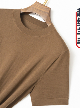 春秋季薄款半袖羊毛衫男短袖针织t恤圆领中年套头毛衣纯色休闲装