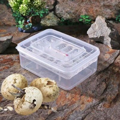 16 Grids Reptiles Lizard Snake Egg Incubator Tray Hatcher