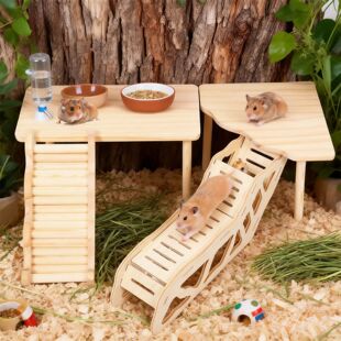 Climbing 4Pcs Toy Wood Natural Hamster Platform