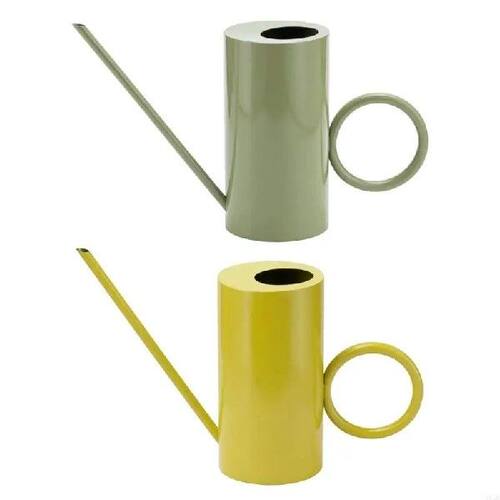 Watering Can Small Watering Can for Indoor Plant Stainless
