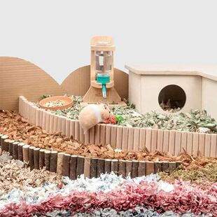 Toy Natural Climbing Ladder Parrot Wood Hamster