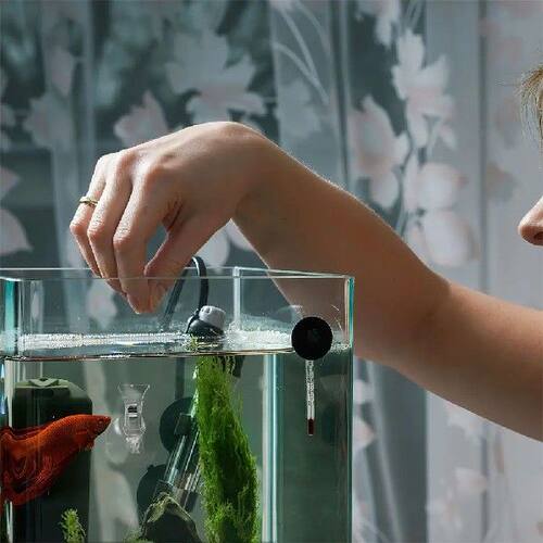 6Pcs Aquarium Suction Cup Clips Strong ABS Suction