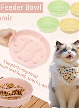 2Pcs Cat Dog Slow Feeder Bowl Ceramic Pet Food Bowl Cat