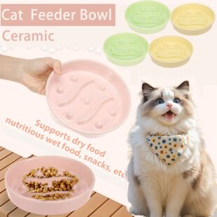 2Pcs Cat Dog Slow Feeder Bowl Ceramic Pet Food Bowl Cat