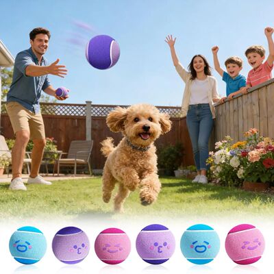 6pcs Pet Dog Tennis Balls, Interactive Toys For Dogs,