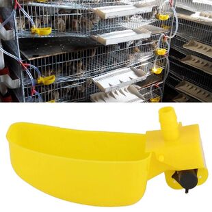 Pigeons Quail Waterer Feeder Drinking Cup Bowl Poultry Bird