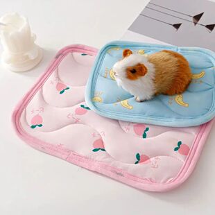 Small Keep Comfortable Silk Mat Hamster Cooler Ice Pet