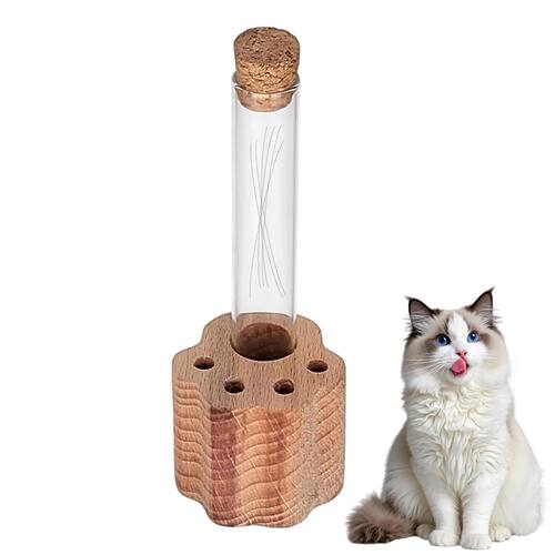 Cat Whisker Holder Glass Memory Box with Wooden Base