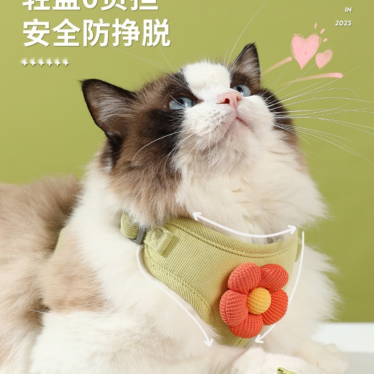 猫咪牵引绳防挣脱外出专用遛猫绳
