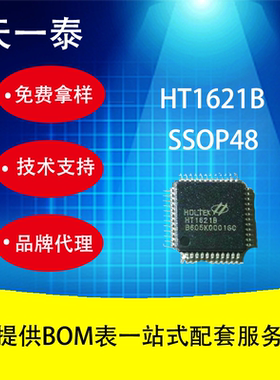 HT1621B SSOP48封装 LCD液晶显示驱动芯片 技术支持 欢迎咨询报价