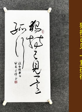 独抒己见书法传统字画手写真迹
