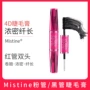 Thái Lan Mistine4D đôi mascara không thấm nước dài xoăn nữ đích thực đầu cọ nhỏ không nở dài - Kem Mascara / Revitalash mascara 4d missha