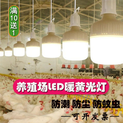 养殖场蛋鸡用led暖黄光灯泡超亮螺口5W10W15W20W30W照明节能灯