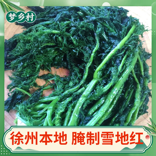 徐州邳州农家腌制雪地红新鲜雪里红咸菜雪里蕻酸菜雪菜特产酱腌菜