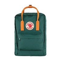 Арктическая зеленая/пряная оранжевая полоса 667-206